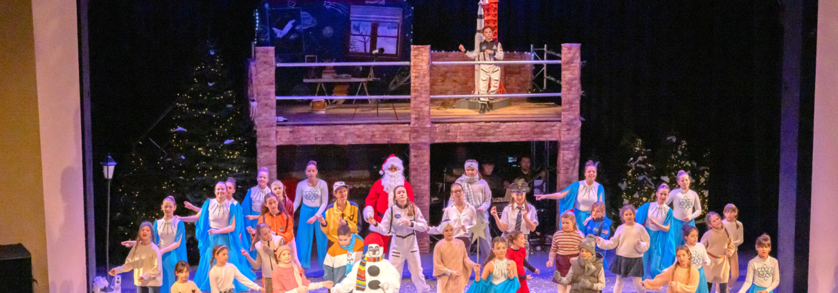 Snowy und der Traum von den Sternen