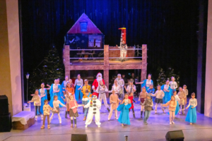 Snowy und der Traum von den Sternen